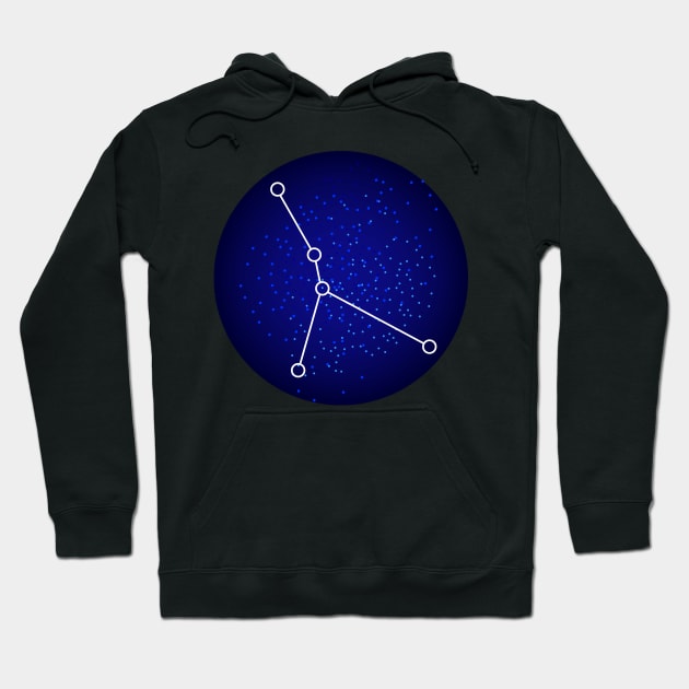 Cancer Zodiac Sign Gift Hoodie by BadDesignCo